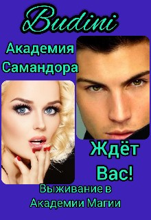 Budini - Академия Чудес Самандора Ждёт Вас!