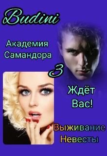 Budini - Академия Самандора ждёт вас! 3