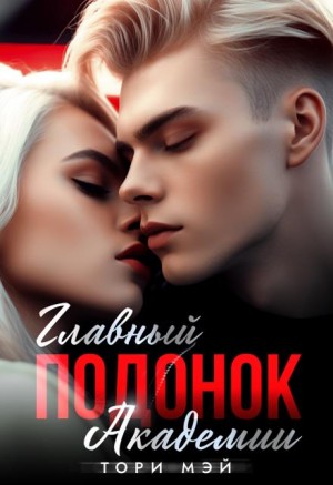 Мэй Тори - Главный подонок Академии