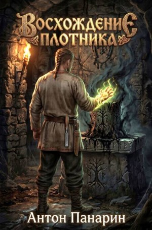 Панарин Антон - Восхождение плотника. Том 4