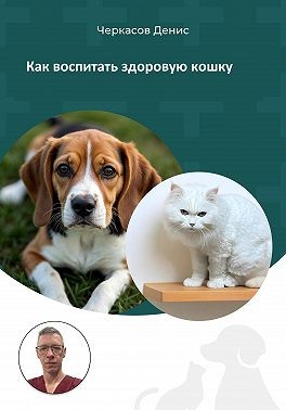 Черкасов Денис - Как воспитать здоровую кошку