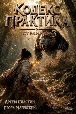 Сластин Артем, Маревский Игорь - Кодекс Практика: Страница 3