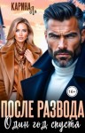 Ли Карина - После развода. Один год спустя