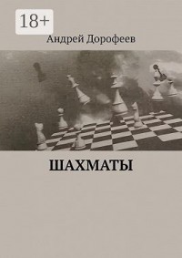 Шахматы