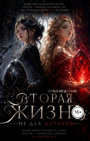 Недосып Соня - Вторая жизнь не для дураков