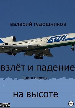 Гудошников Валерий - Взлёт и падение. Книга первая. На высоте