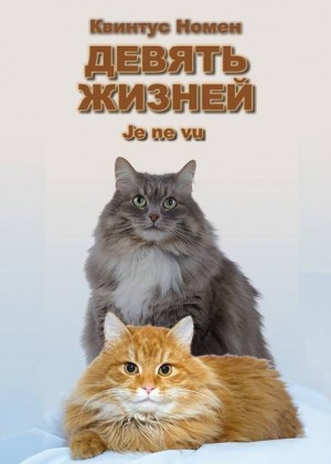 Номен Квинтус - Девять жизней Je ne vu