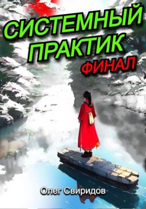 Свиридов Олег - Системный практик. Финал