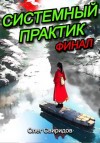 Свиридов Олег - Системный практик. Финал