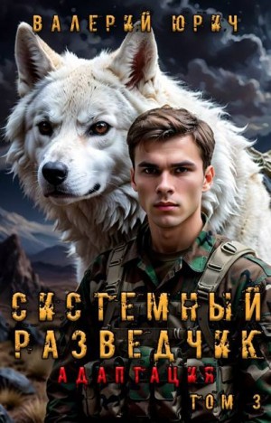 Юрич Валерий - Системный разведчик. Адаптация Том 3