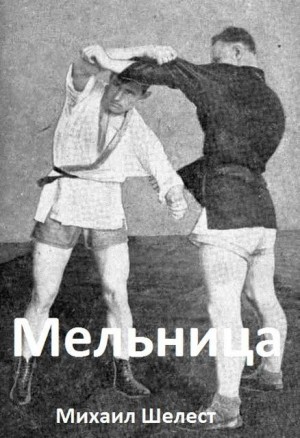 Шелест Михаил - Мельница-2