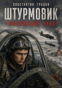 Штурмовик. Московское небо.