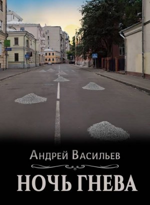 Васильев Андрей - Ночь гнева