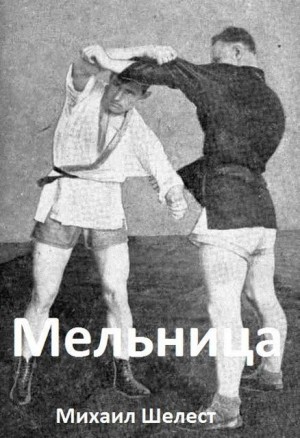 Шелест Михаил - Мельница-4