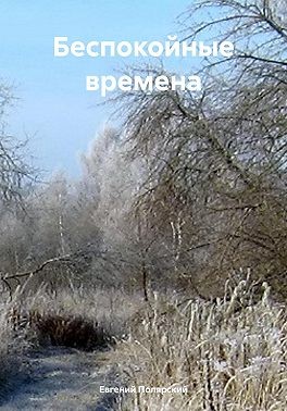 Полярский Евгений - Беспокойные времена