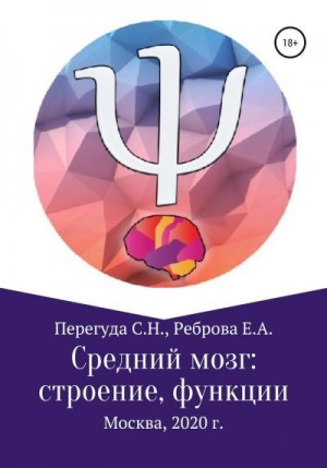Перегуда Сергей, Реброва Елена - Средний мозг: строение и функции