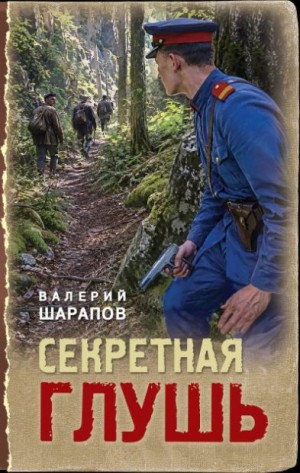 Шарапов Валерий Георгиевич - Секретная глушь