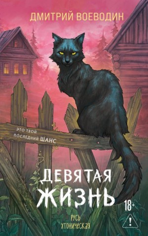 Воеводин Дмитрий - Девятая жизнь