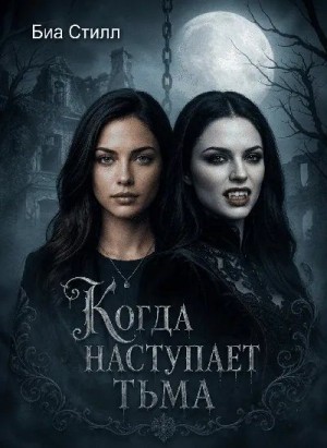 Стилл Биа - Когда наступает тьма