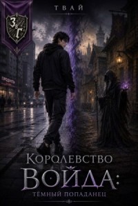 Королевство Войда. Тёмный попаданец