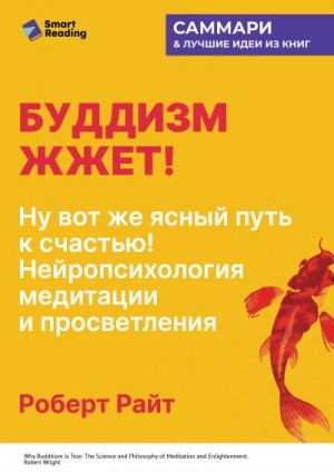 Райт Роберт - Буддизм жжет! Ну вот же ясный путь к счастью! Нейропсихология медитации и просветления. Роберт Райт. Саммари