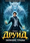 Аржанов Алексей, Молотов Виктор - Зимние травы