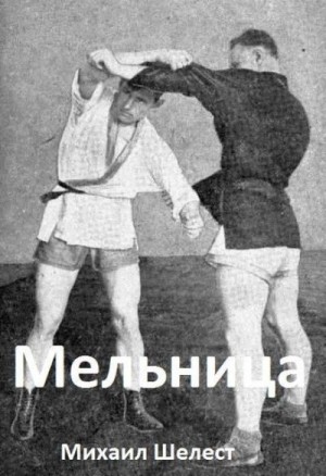 Шелест Михаил - Мельница 5