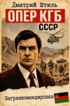 Штиль Дмитрий - Загранкомандировка