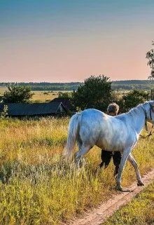 мира Роза - Жизнь прожить, не поле перейти