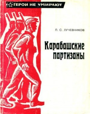 Лучевников Павел Сергеевич - Карабашские партизаны