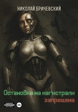 Бричевский Николай - Остановка на магистрали запрещена