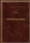 Робида Альбер - Двадцатое столетие. Электрическая жизнь (старая орфография)