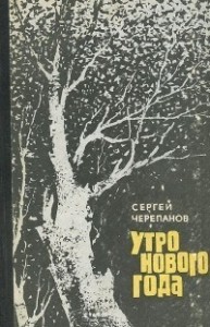 Утро нового года