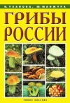 Уханова Ирина, Манжура Юрий - Грибы России