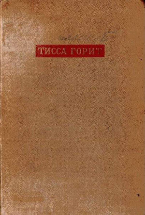 Иллеш Бела - Тисса горит