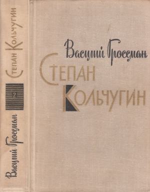 Гроссман Василий - Степан Кольчугин. Книга вторая