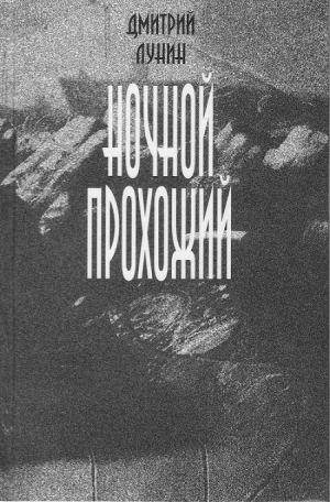 Лунин Дмитрий - Ночной прохожий