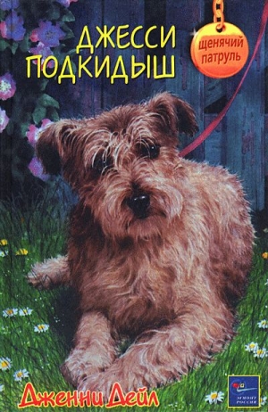 Дейл Дженни - Джесси-подкидыш