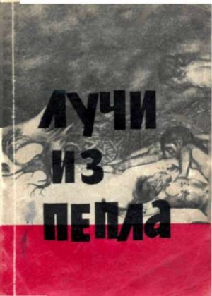 Юнг Роберт - Лучи из пепла.