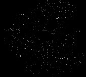 Грюнвальская битва. 1410 год