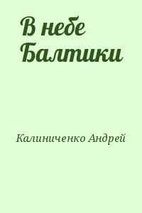 Калиниченко Андрей - В небе Балтики