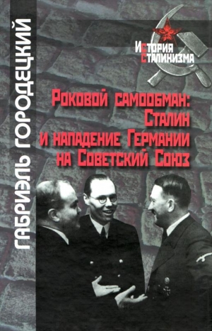 Городецкий Габриэль - Роковой самообман