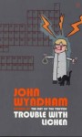 Уиндем Джон - Во всем виноват лишайник