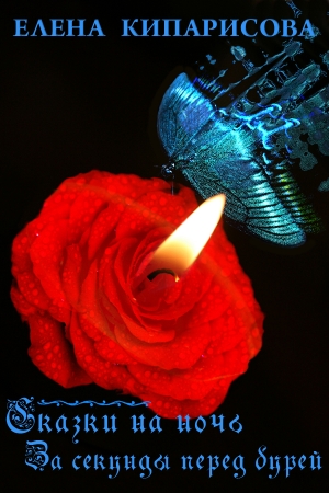 cкачать книгу Елена Кипарисова За секунды перед бурей