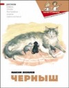 Яковлев Максим, Кондратова Наталия, Кузенкова Юлия - Черныш