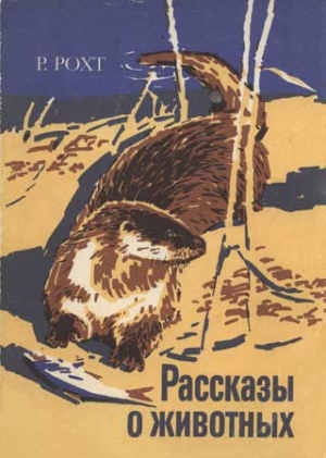 Рохт Рихард - Рассказы о животных