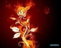 Завадская Анна - Аника