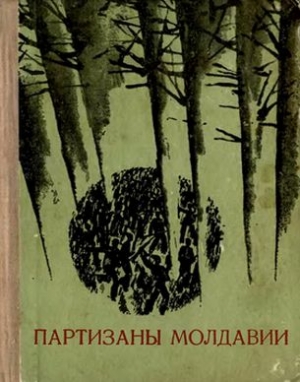 Елин Дмитрий - Партизаны Молдавии