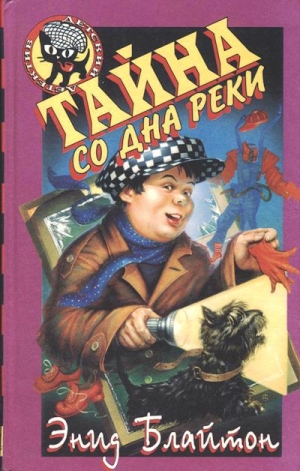 Блайтон Энид - Тайна со дна реки
