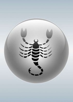 Степанова Мария, Подошвина Татьяна - Скорпион (24.10  - 22.11)